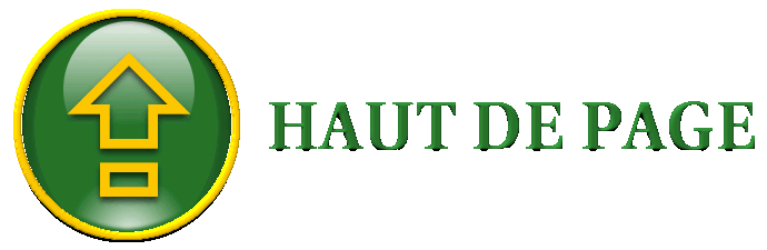 Haut